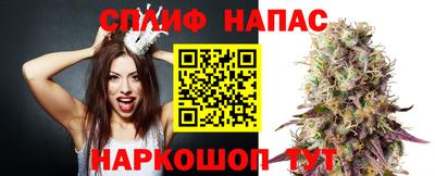 прущие грибы Ирбит