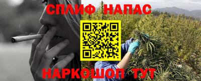 прущие грибы Ирбит