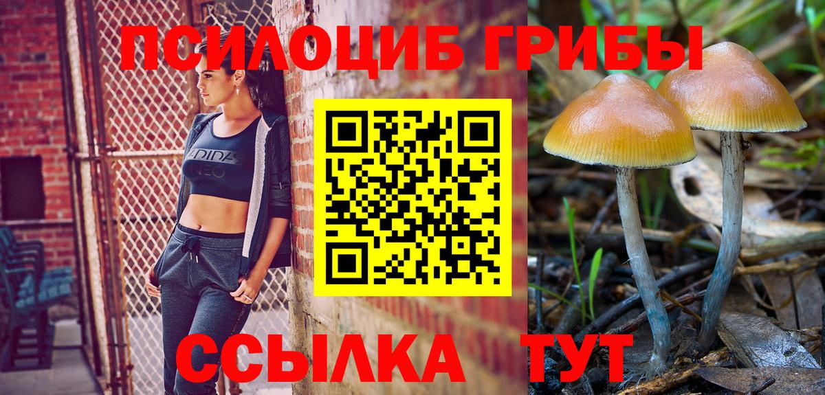 Галлюциногенные грибы GOLDEN TEACHER Ленинск-Кузнецкий